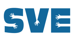 sve1-768x404-min